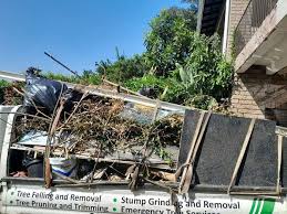 Best Residential Junk Removal  in Eustis, FL